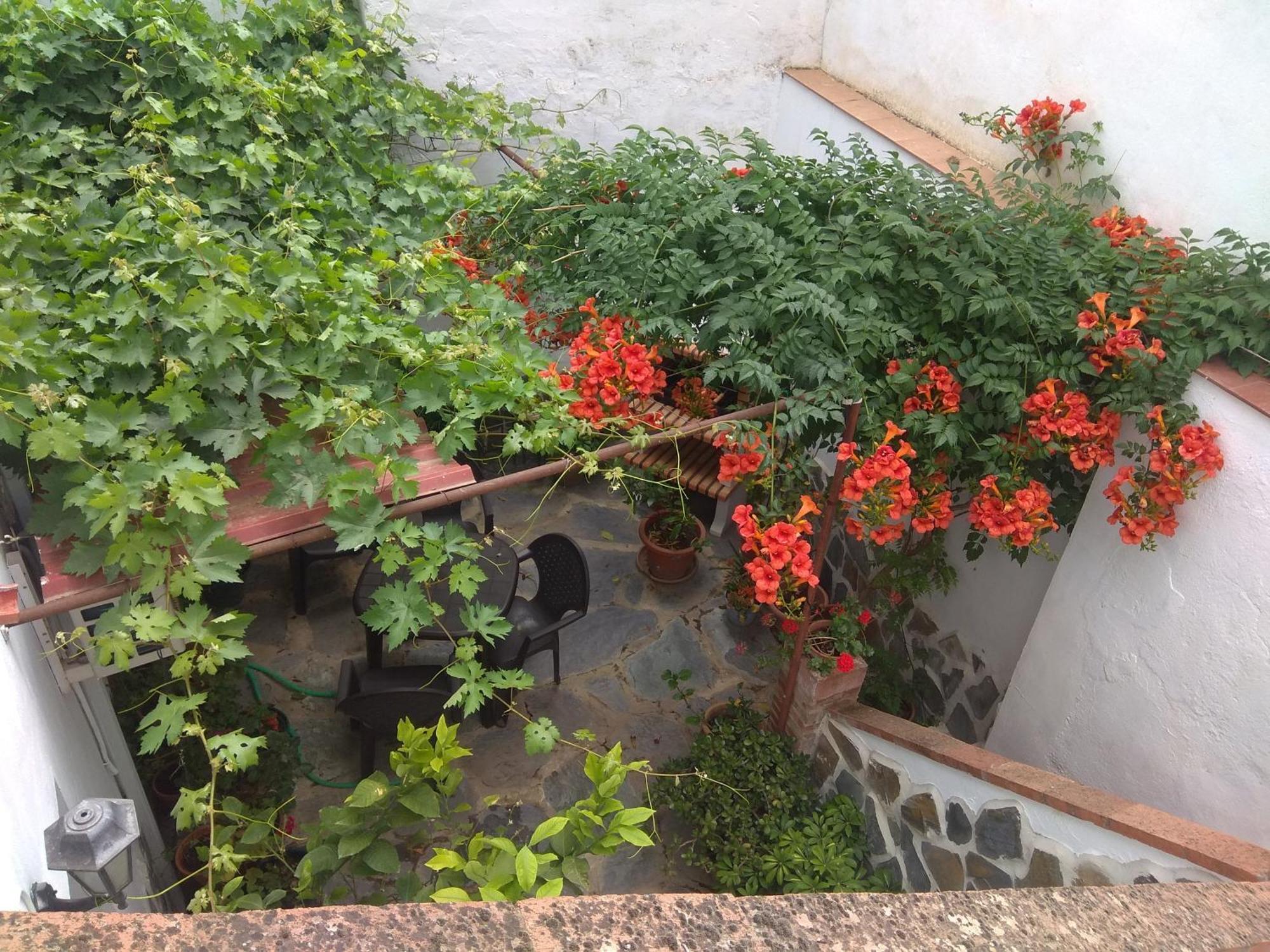 El Regocijo Daire Oliva de la Frontera Dış mekan fotoğraf